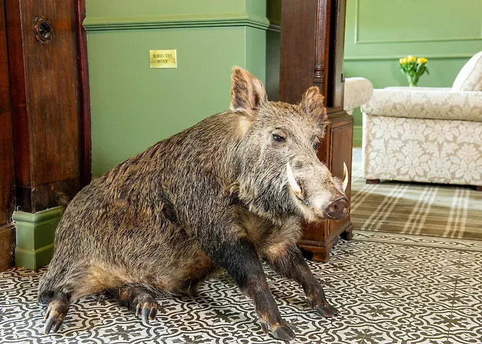 The Hotel Scarborough