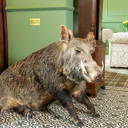 The Hotel Scarborough